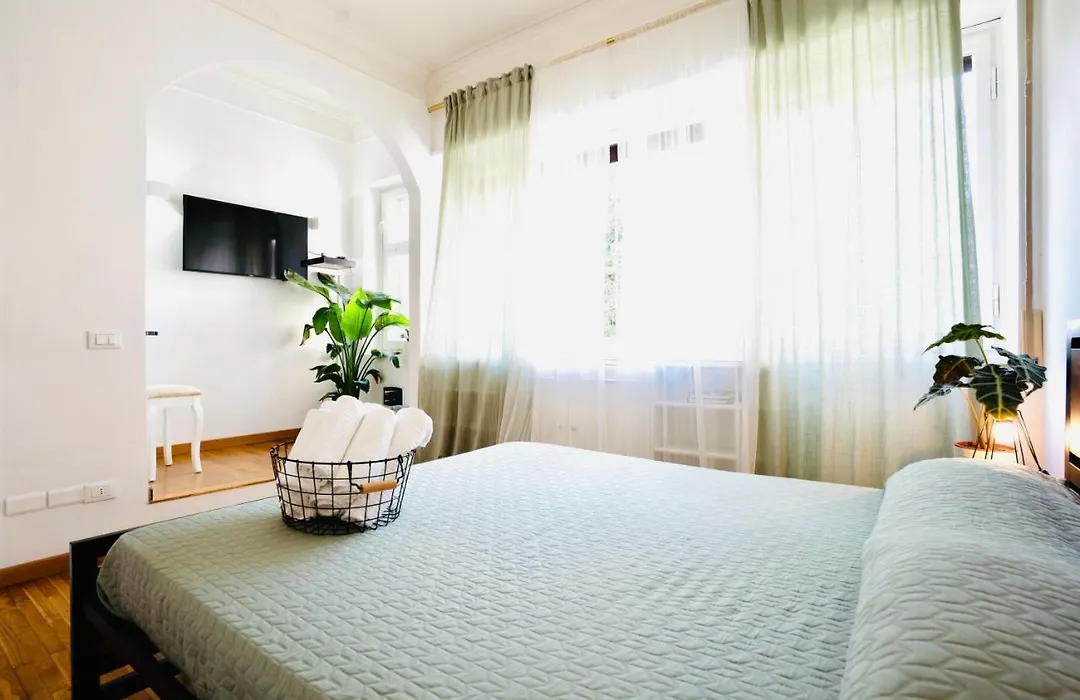 Plant House Roma Eur-1